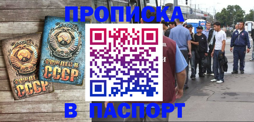 прописка штамп в Михайловке